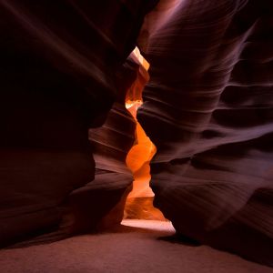 joe-gardner-4xv3lqnanYc-unsplash